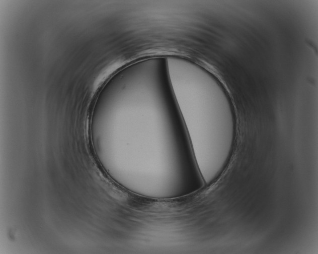 X0000102031179200807180959