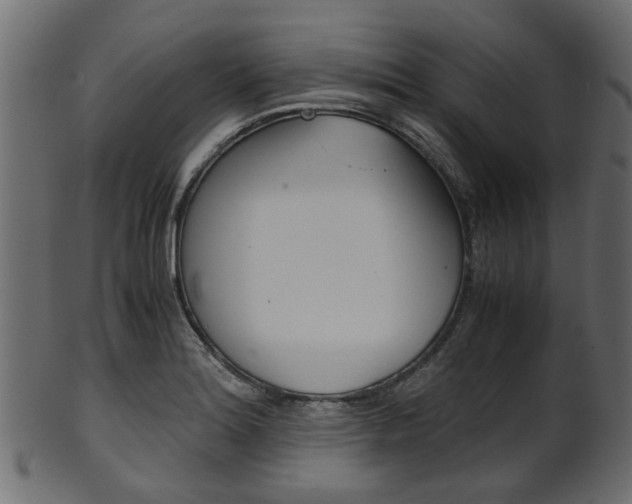 X0000102031180200807180959