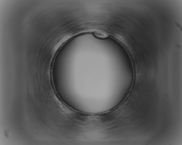 X0000102031181200807180959
