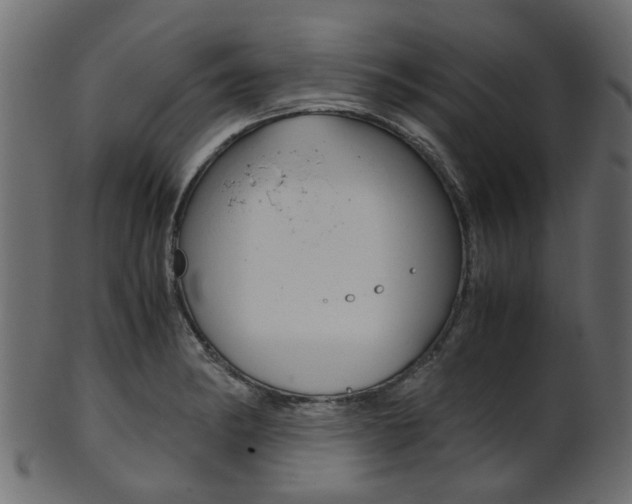X0000102031182200807180959