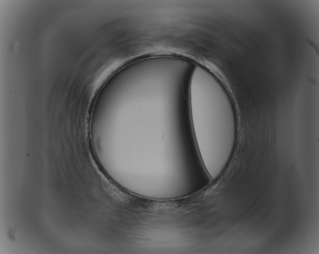 X0000102031183200807180959