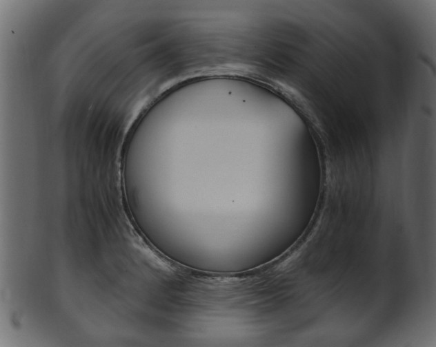 X0000102031184200807180959