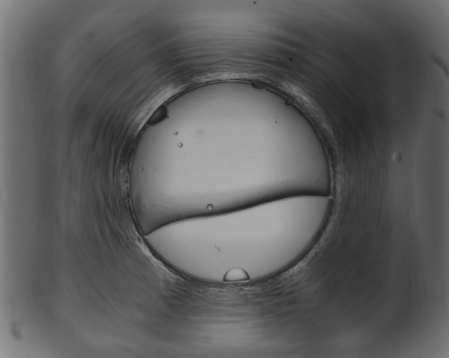 X0000102031185200807180959