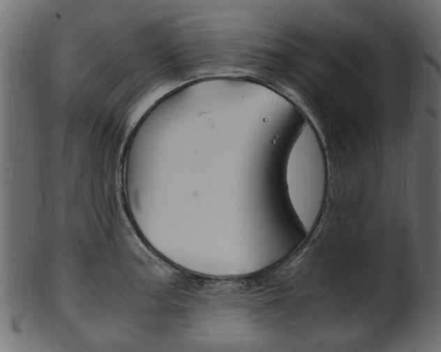 X0000102031187200807180959