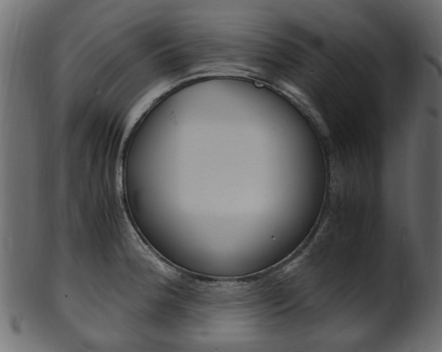X0000102031188200807180959