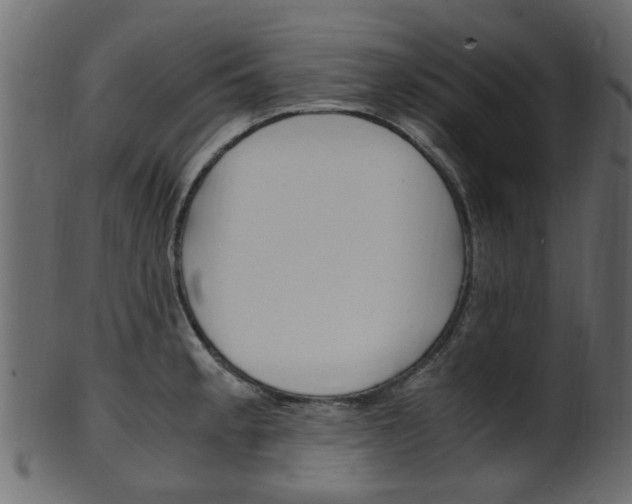 X0000102031189200807180959