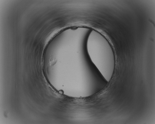 X0000102031191200807180959