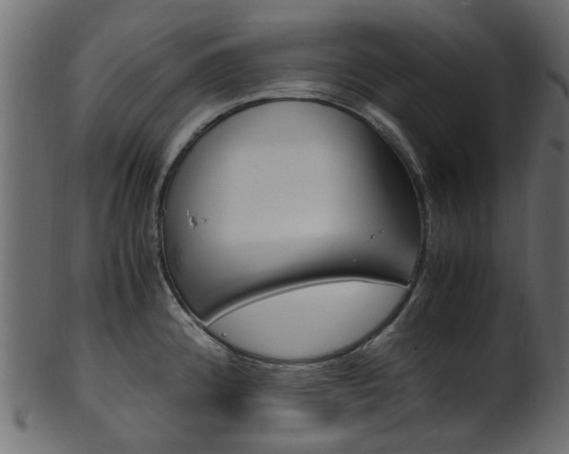 X0000102031192200807180959