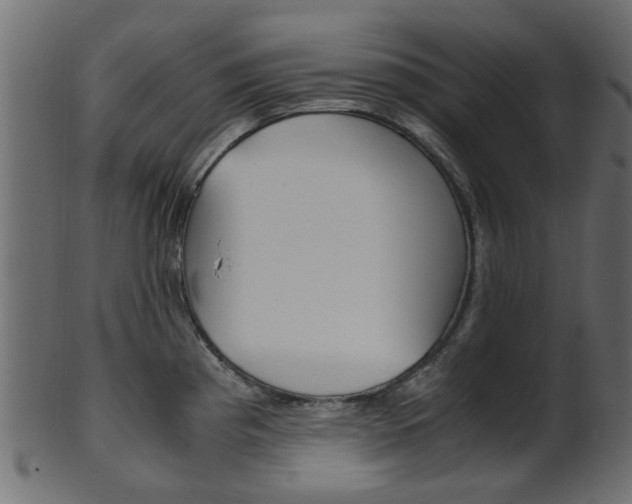X0000102031193200807180959