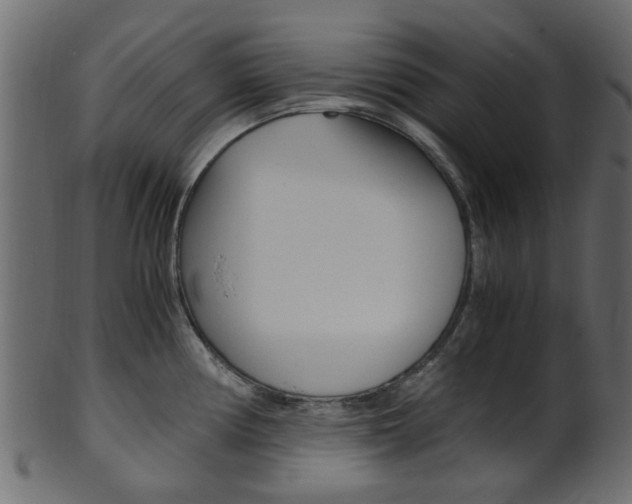 X0000102031194200807180959