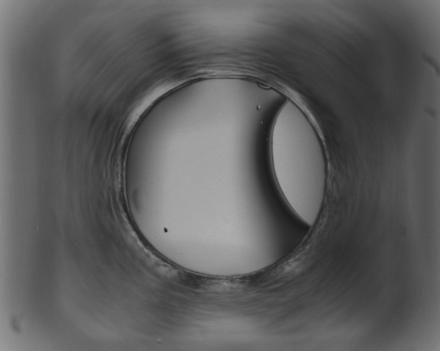 X0000102031195200807180959
