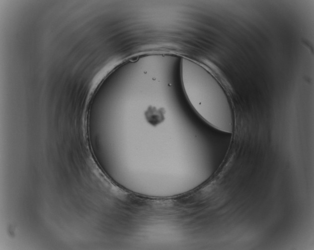 X0000102031196200807180959
