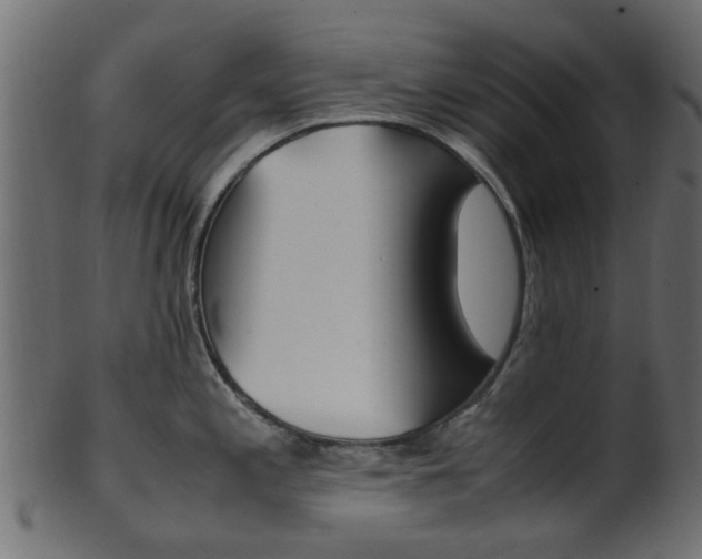X0000102031197200807180959