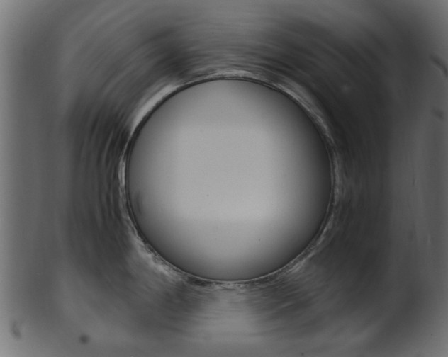 X0000102031198200807180959