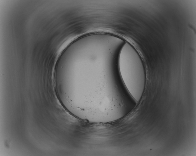 X0000102031199200807180959
