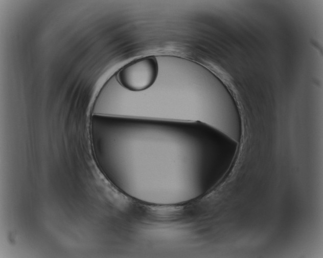 X0000102031200200807180959