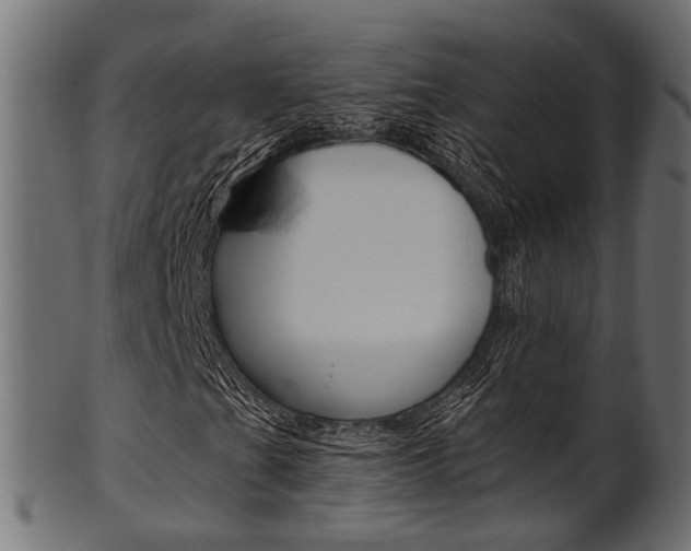 X0000102031201200807180958