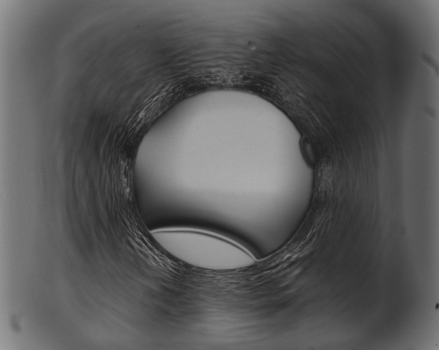 X0000102031202200807180958