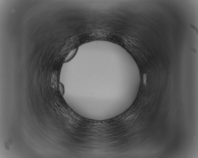 X0000102031203200807180958