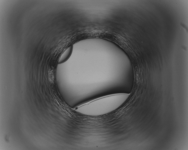X0000102031204200807180958