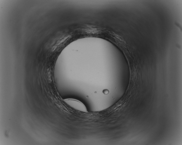 X0000102031205200807180958