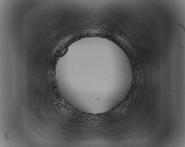 X0000102031207200807180958