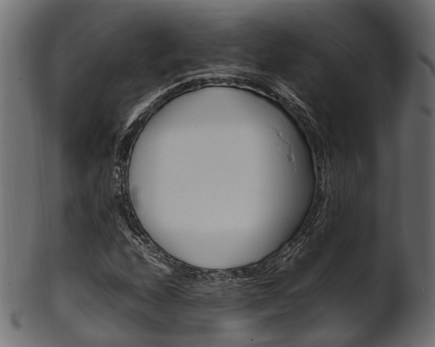 X0000102031208200807180958