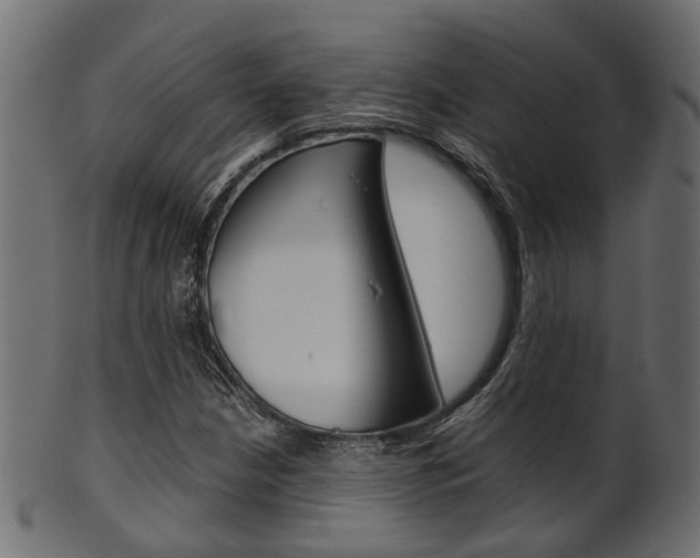 X0000102031210200807180958