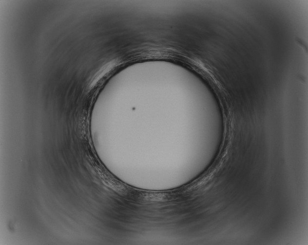 X0000102031211200807180958