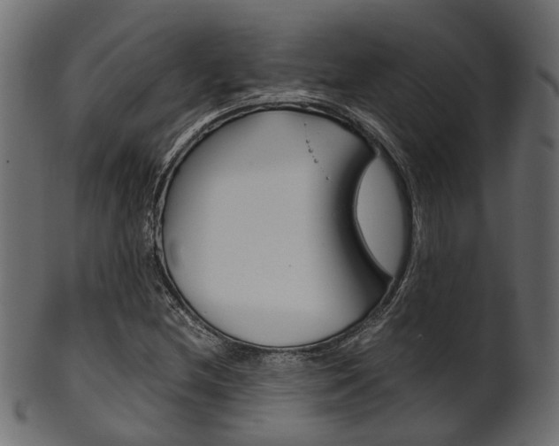X0000102031212200807180958