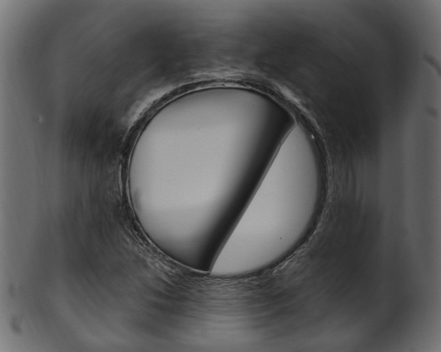 X0000102031214200807180958