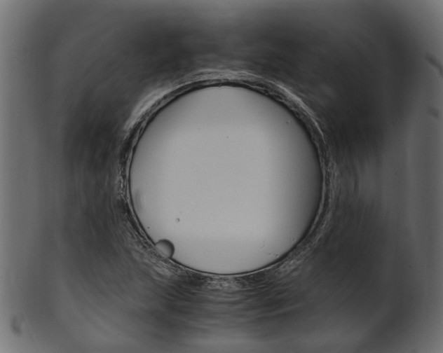 X0000102031215200807180958