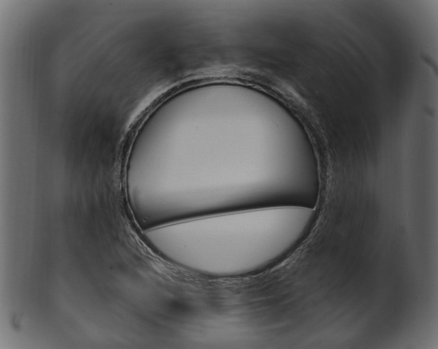 X0000102031216200807180958