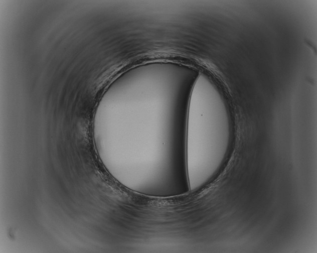 X0000102031217200807180958