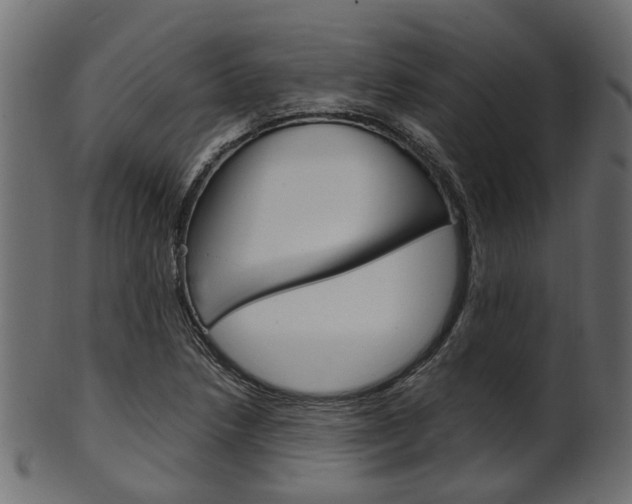 X0000102031218200807180958