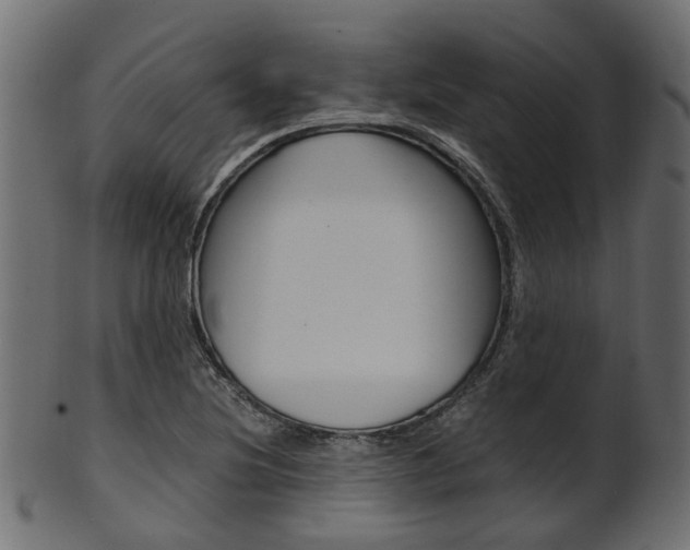 X0000102031220200807180958