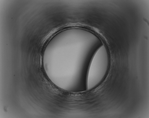 X0000102031221200807180958