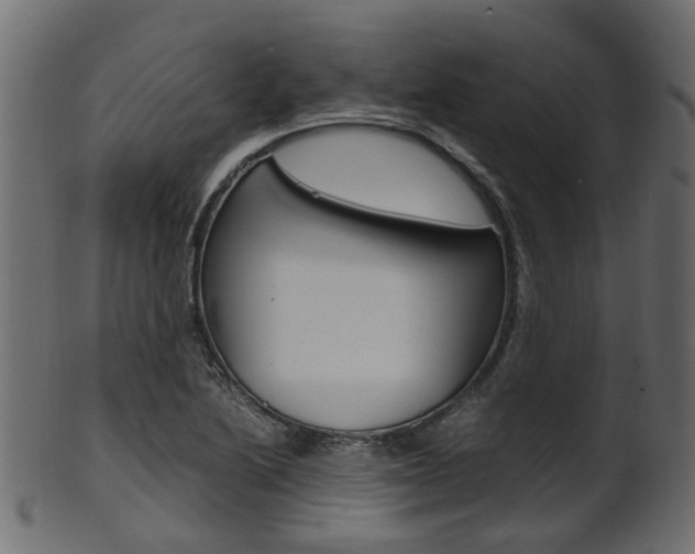 X0000102031222200807180958