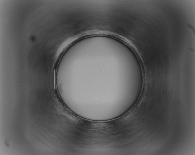 X0000102031223200807180958