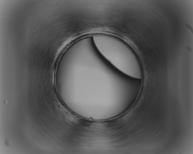 X0000102031224200807180958