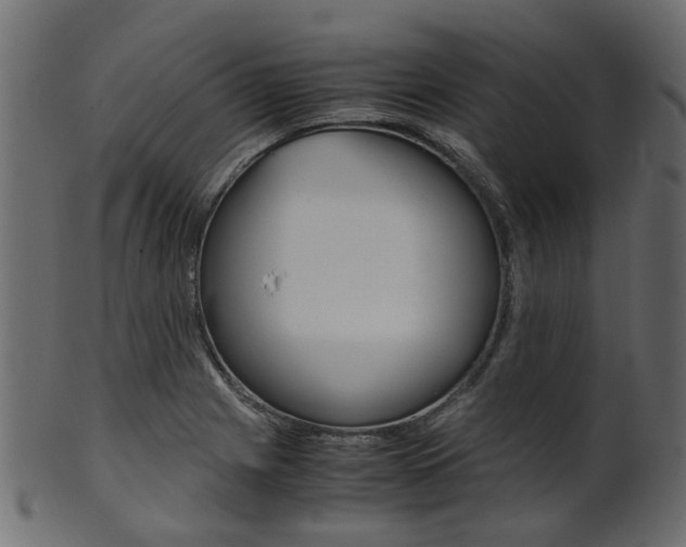 X0000102031225200807180958