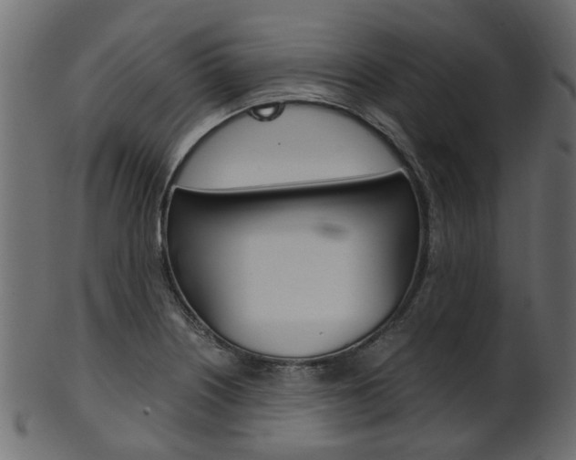 X0000102031226200807180958