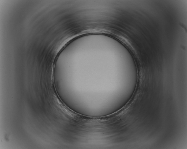 X0000102031228200807180959
