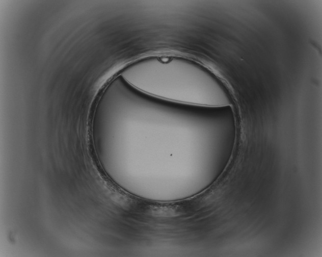 X0000102031229200807180959