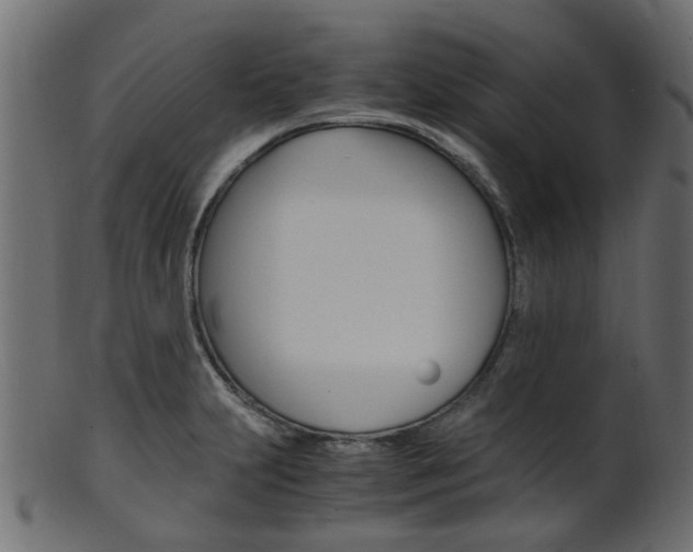 X0000102031231200807180959