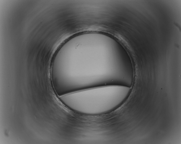 X0000102031232200807180959