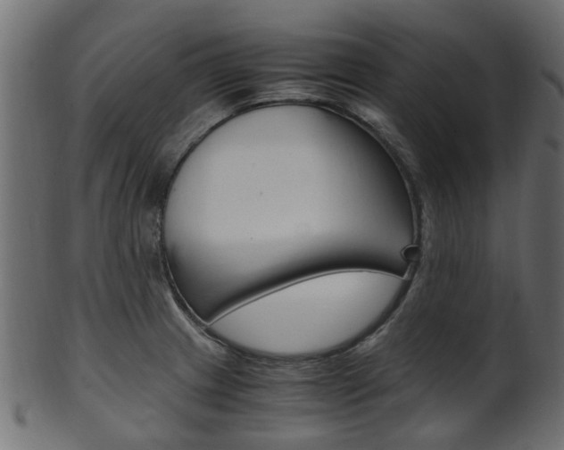 X0000102031233200807180959