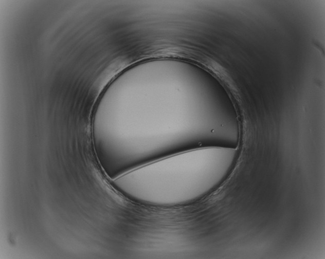 X0000102031234200807180959
