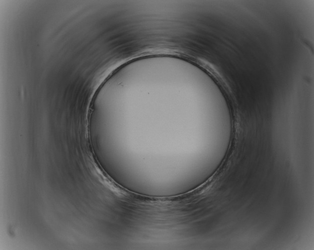 X0000102031236200807180959