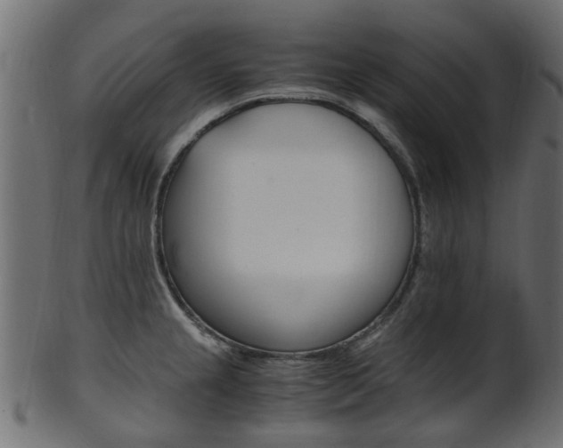 X0000102031237200807180959